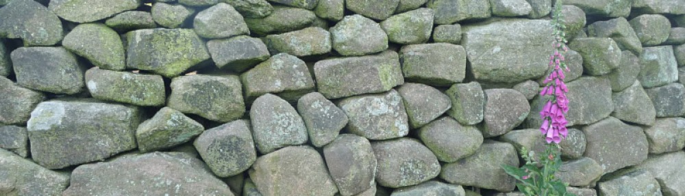 La feixa pedra seca (artesania amb pedra  seca i vímet)