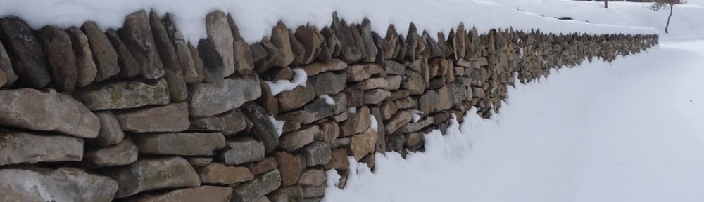 La feixa pedra seca (artesania amb pedra  seca i vímet)