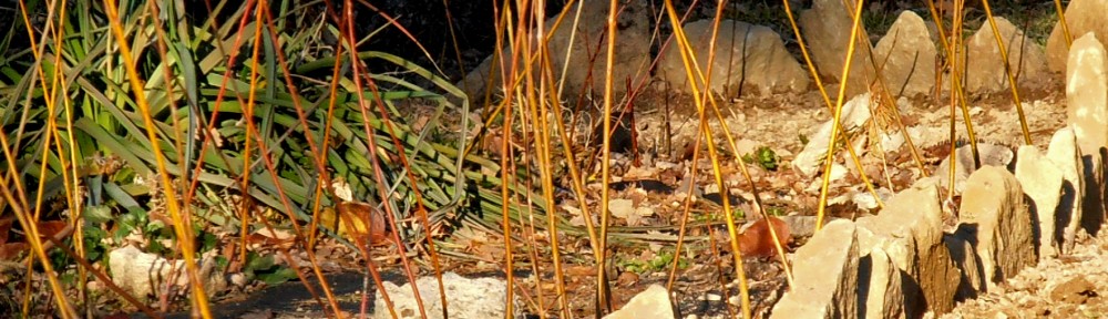 La feixa pedra seca (artesania amb pedra  seca i vímet)