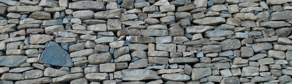 La feixa pedra seca (artesania amb pedra  seca i vímet)