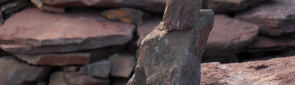 La feixa pedra seca (artesania amb pedra  seca i vímet)