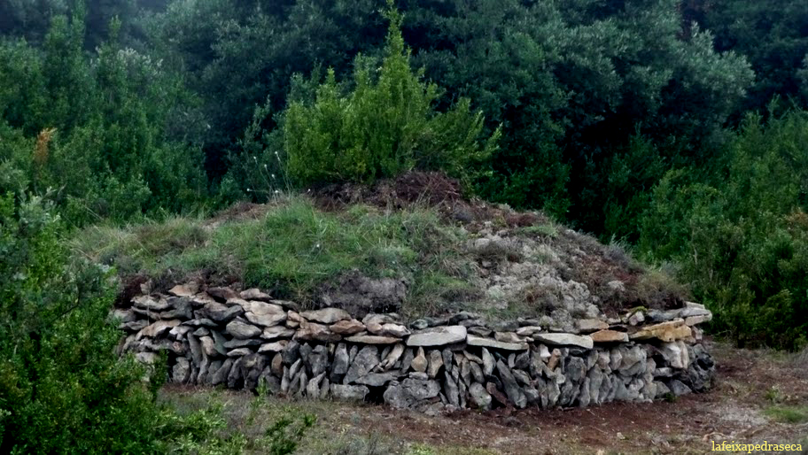 vedruna per conills a tavertet