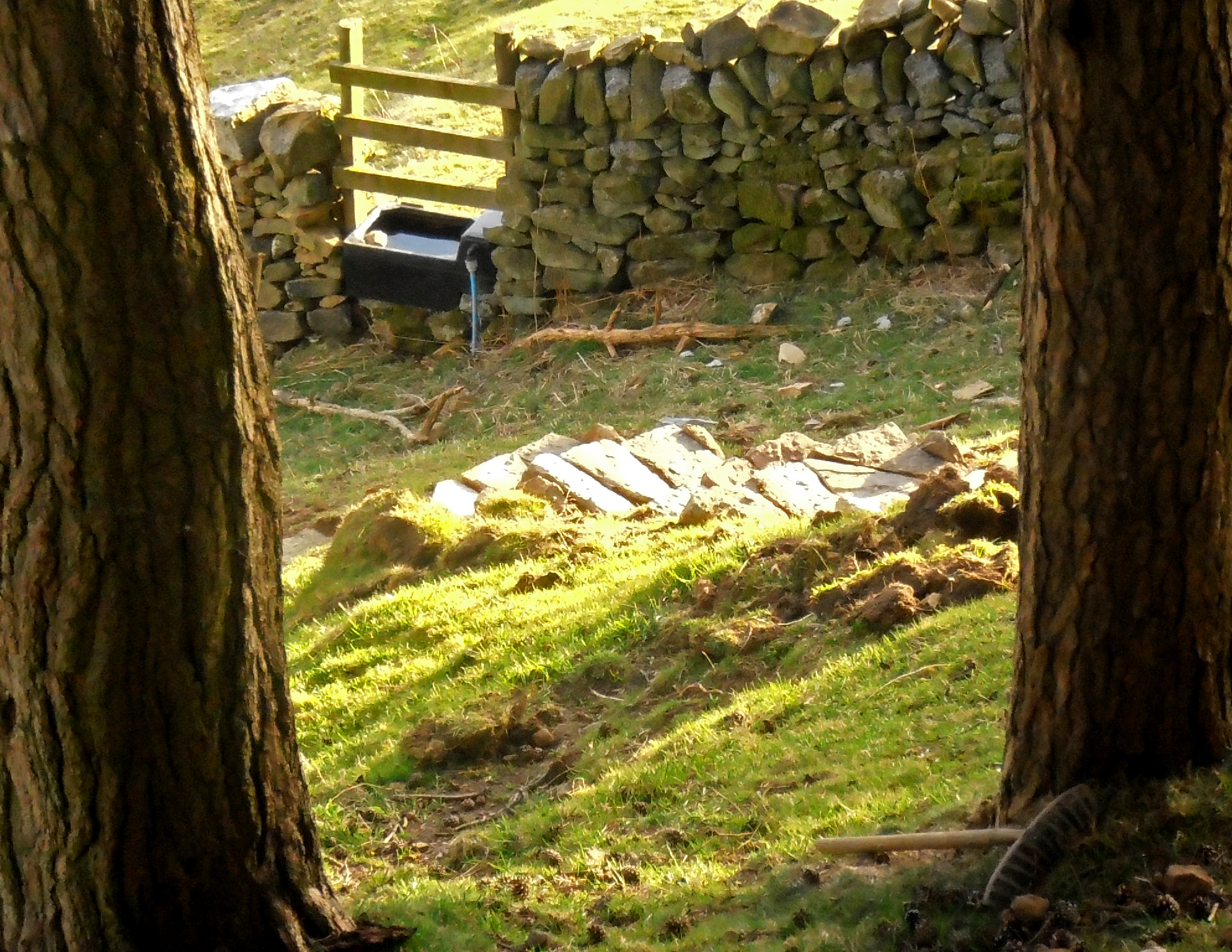 Escales fetes amb lloses de calcari i també gresos de la zona...
